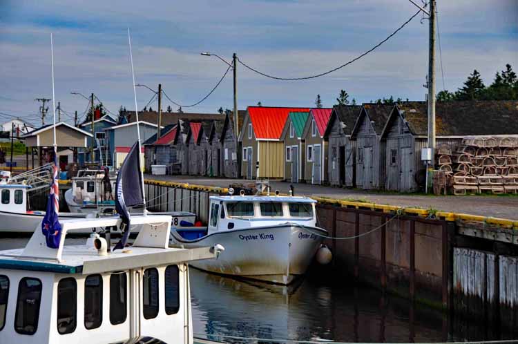 harbor